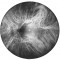 Ocular Staurenghi SLO Scan Image
