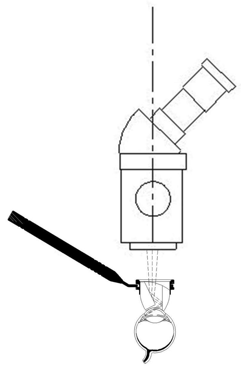 OADVX w/Microscope Verticle
